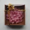 Lotus Mum Kraft Kutu-3 - Pembe