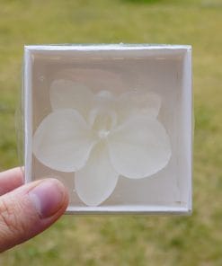 Orkide Mum Beyaz Kutu -1