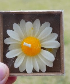 Papatya Mum Kraft Kutu -1