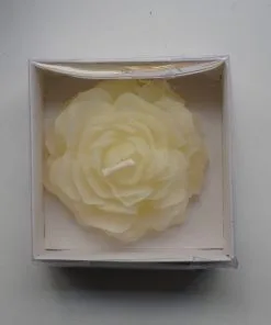 Şakayık Mum Beyaz Kutu -2