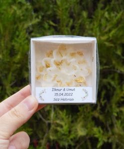 Alternative view of Lotus Mum Beyaz Kutu-3