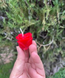 Sevgililer Günü Gül Formunda Mum Seti -1