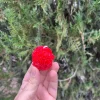 Sevgililer Günü Gül Topu Mum - 3