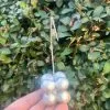 Bubble Notluk -1