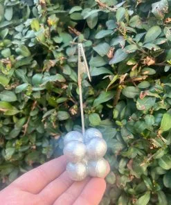 Bubble Notluk -1