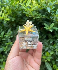 Alternative view of Yeni Tasarım Mika Kutu Deniz Temalı Mum Söz, Nişan, Düğün Hediyeliği